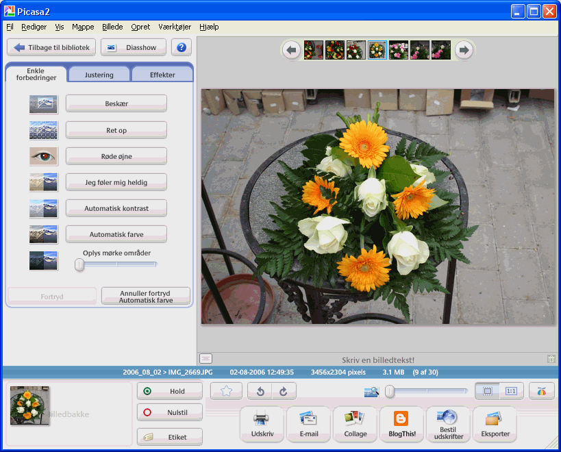 Picasas visning af detaljer for enkelt billede.