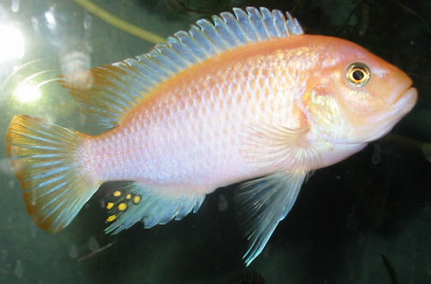 Enter new caption here.